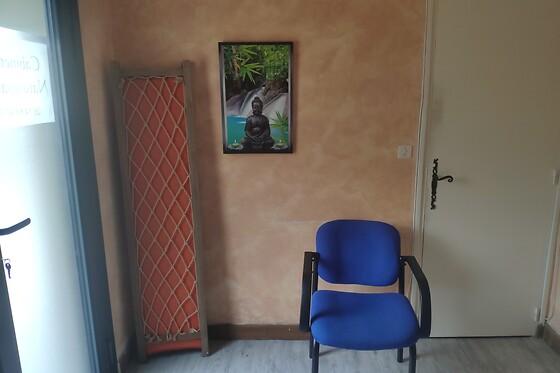 Loïc Régaré NATUROPATHE Praticien en massage bien-être - photo 3