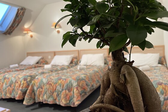 Hotel CORONA Lourdes - photo 3