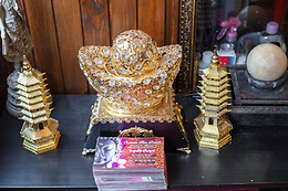 Orchidée thaï beauté