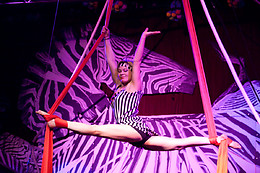Cabaret Cirque Le Zèbre