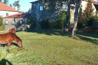 1 noite em família numa casa de pedra tradicional com animais da quinta | Quinta do Cambeiro - Paredes de Coura