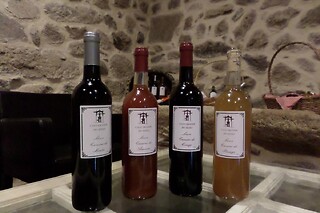 Enoturismo para 2 em Vidago | Uma noite em suite + prova de vinhos - Casa Grande do Seixo (Vila Real)