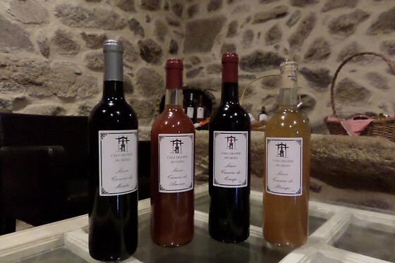 Enoturismo para 2 em Vidago | Uma noite em suite + prova de vinhos - Casa Grande do Seixo (Vila Real)