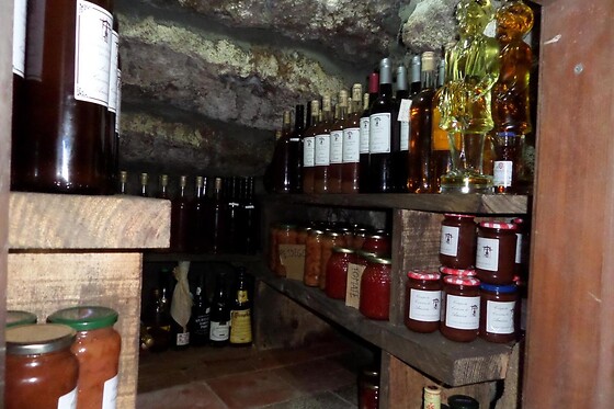 Enoturismo para 2 em Vidago | Uma noite em suite + prova de vinhos - Casa Grande do Seixo (Vila Real)