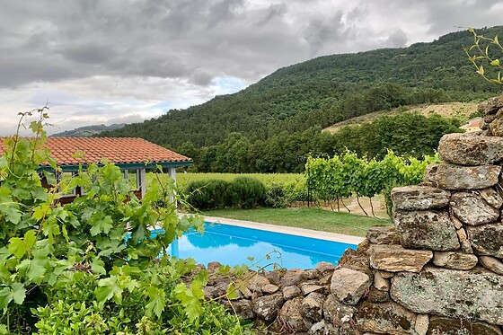 Enoturismo para 2 em Vidago | Uma noite em suite + prova de vinhos - Casa Grande do Seixo (Vila Real)