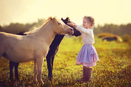 COUDELARIA QUINTA OLIVEIRA
