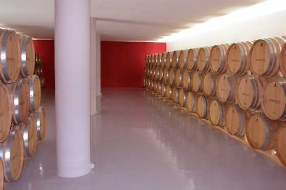 BODEGA SILVANO GARCIA - photo 5