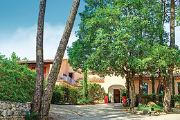 Hôtel des Pins