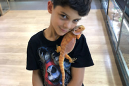 Mike's Reptipark