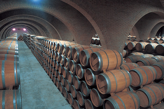 BODEGAS IRACHE - photo 0