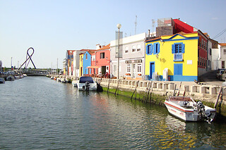 Visita aos viveiros e degustação de ostras em Aveiro com a Bikevento | 2 Pessoas
