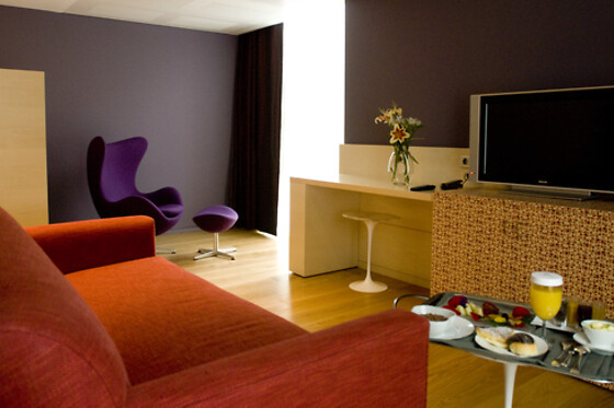 HOTEL RESORT BALNEARIO DE PANTICOSA - photo 14