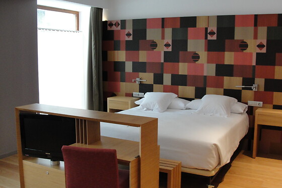 HOTEL RESORT BALNEARIO DE PANTICOSA - photo 29