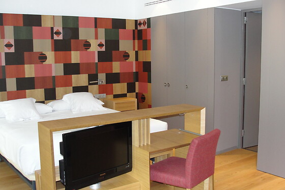 HOTEL RESORT BALNEARIO DE PANTICOSA - photo 26