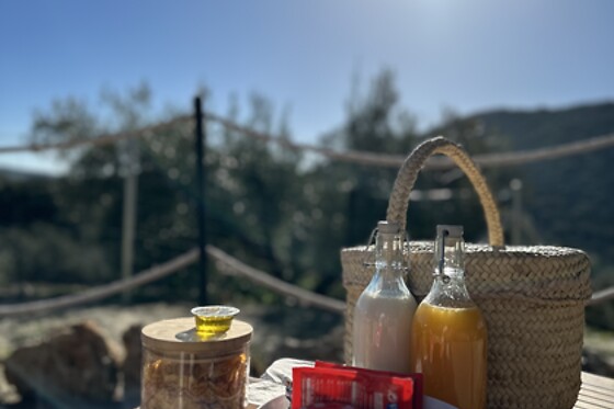CORTIJO COLOMO - photo 1