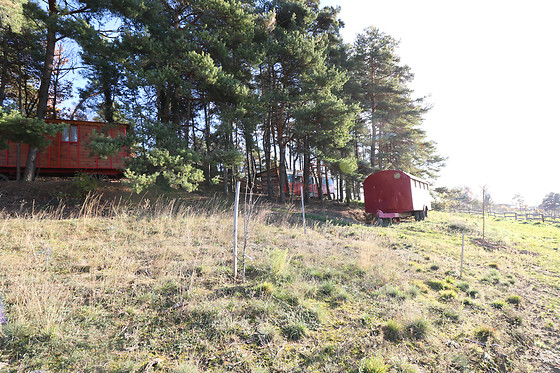 1001 Cornes - photo 15