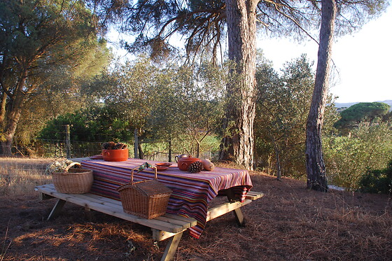 PICADEIRO QUINTA DO VALE - photo 7