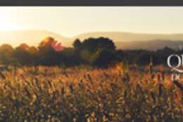PICADEIRO QUINTA DO VALE
