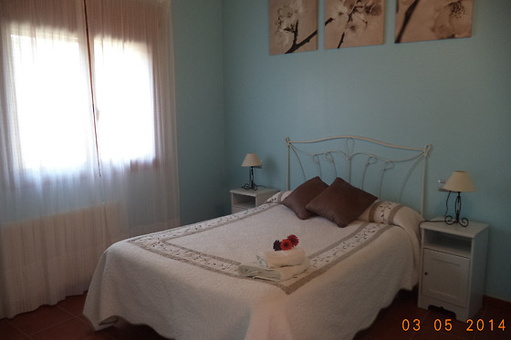 CASA PANO RIO - photo 11