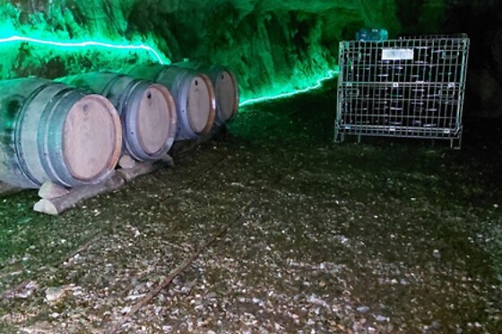 Prova de 5 vinhos Almeida Garrett para 2 | A Quinta das Minas da Recheira em Castelo Branco