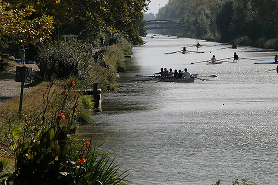 Toulouse Aviron Sports et Loisirs - photo 0