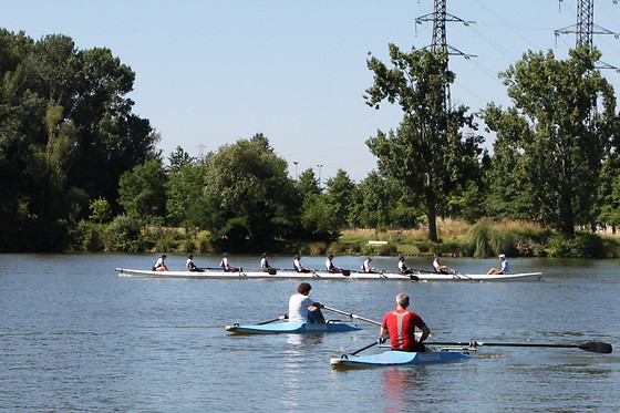 Toulouse Aviron Sports et Loisirs - photo 1