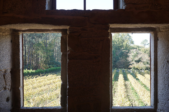 BODEGAS CORISCA - photo 1
