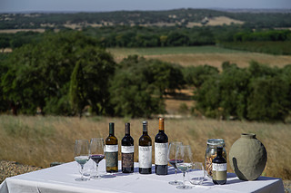 Visita à Herdade de Coelheiros (Arraiolos)