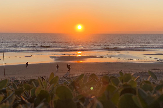 Marisco com Vista Mar para 2 | Marisqueira Sotavento, Praia da Fonte da Telha (Costa da Caparica)