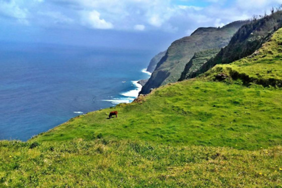 Uma noite com pequeno-almoço para 2 em Madeira Sunset Cottage em Funchal (Madeira)