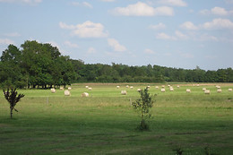La Galerie & La Petite Grange