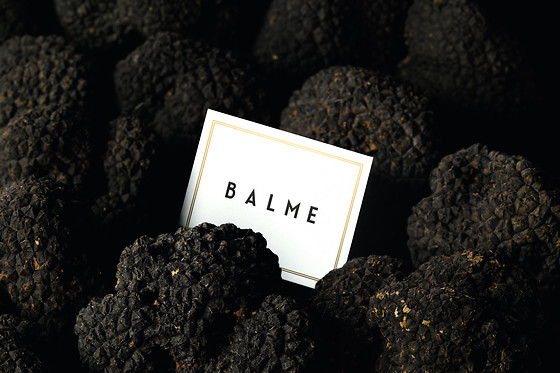 Balme Pau - photo 0