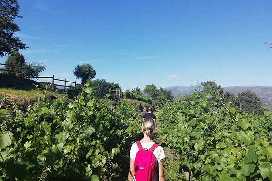 Degustação de Vinhos + Petiscos a 2 | Quinta de Santa Marinha, Arcos de Valdevez (Viana do Castelo)