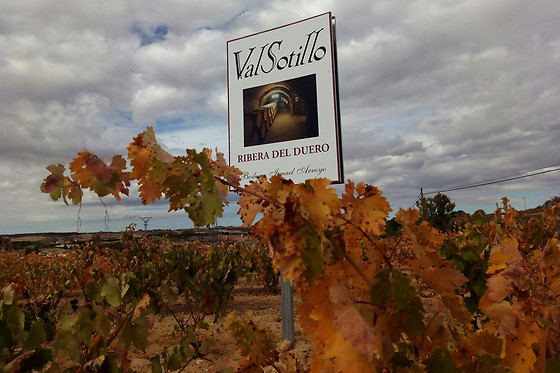 BODEGAS ISMAEL ARROYO - VALSOTILLO - photo 3