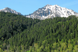 HOTEL SUCARA