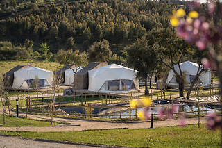 Uma noite em Tenda Glamping com jantar e acesso ao Wellness Center no Gavião Nature Village, distrito de Portalegre) | 2 Pessoas