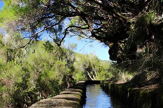 Caminhada pela Levada de Rabaçal para 1 adulto e 1 criança em Ilha Tours em Funchal (Madeira)