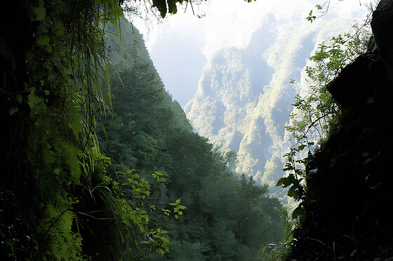 Caminhada pela Levada de Caldeirão Verde para 1 em Ilha Tours em Funchal (Madeira)