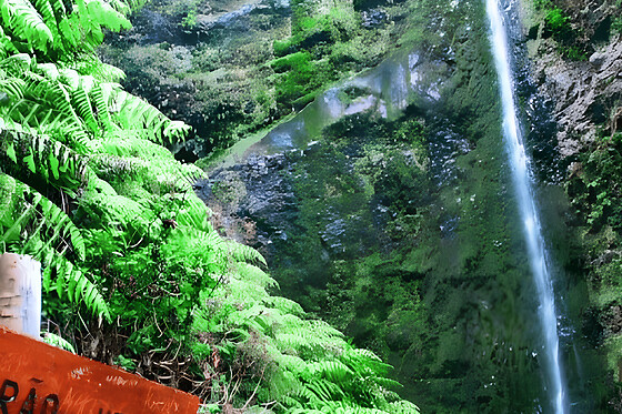 Caminhada pela Levada de Caldeirão Verde para 1 em Ilha Tours em Funchal (Madeira)