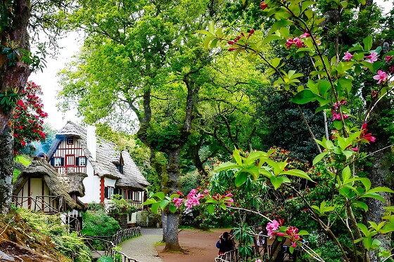 Caminhada pela Levada de Caldeirão Verde para 1 em Ilha Tours em Funchal (Madeira)