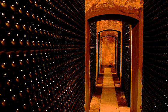 BODEGA PIRINEOS - photo 3