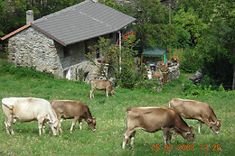 B&B Baita Evelina