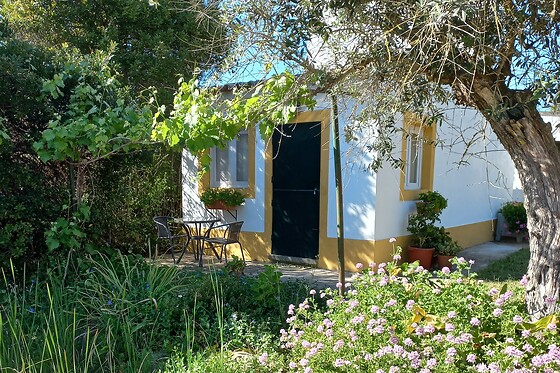 Quinta do Cano - photo 6