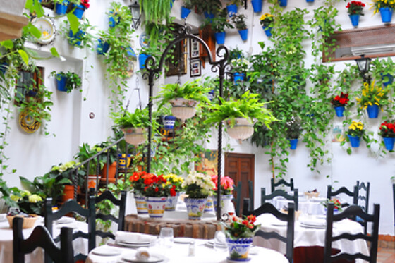 RESTAURANTE PUERTA SEVILLA - photo 9