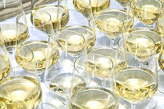 Prova de um vinho, acompanhado de pão e fatias de queijo para 2 | Trincabeiras em Santiago