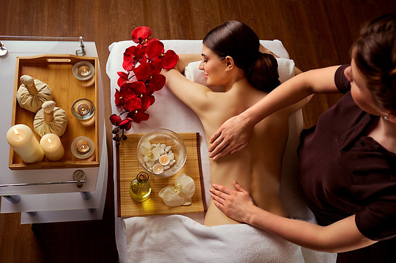 Natural Spa Institut Grand Plaisir - photo 11